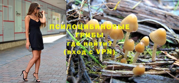твердый Армянск